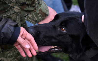 Edukacijski posjet vojne policije