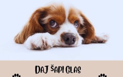 Projekt “Daj šapi glas”